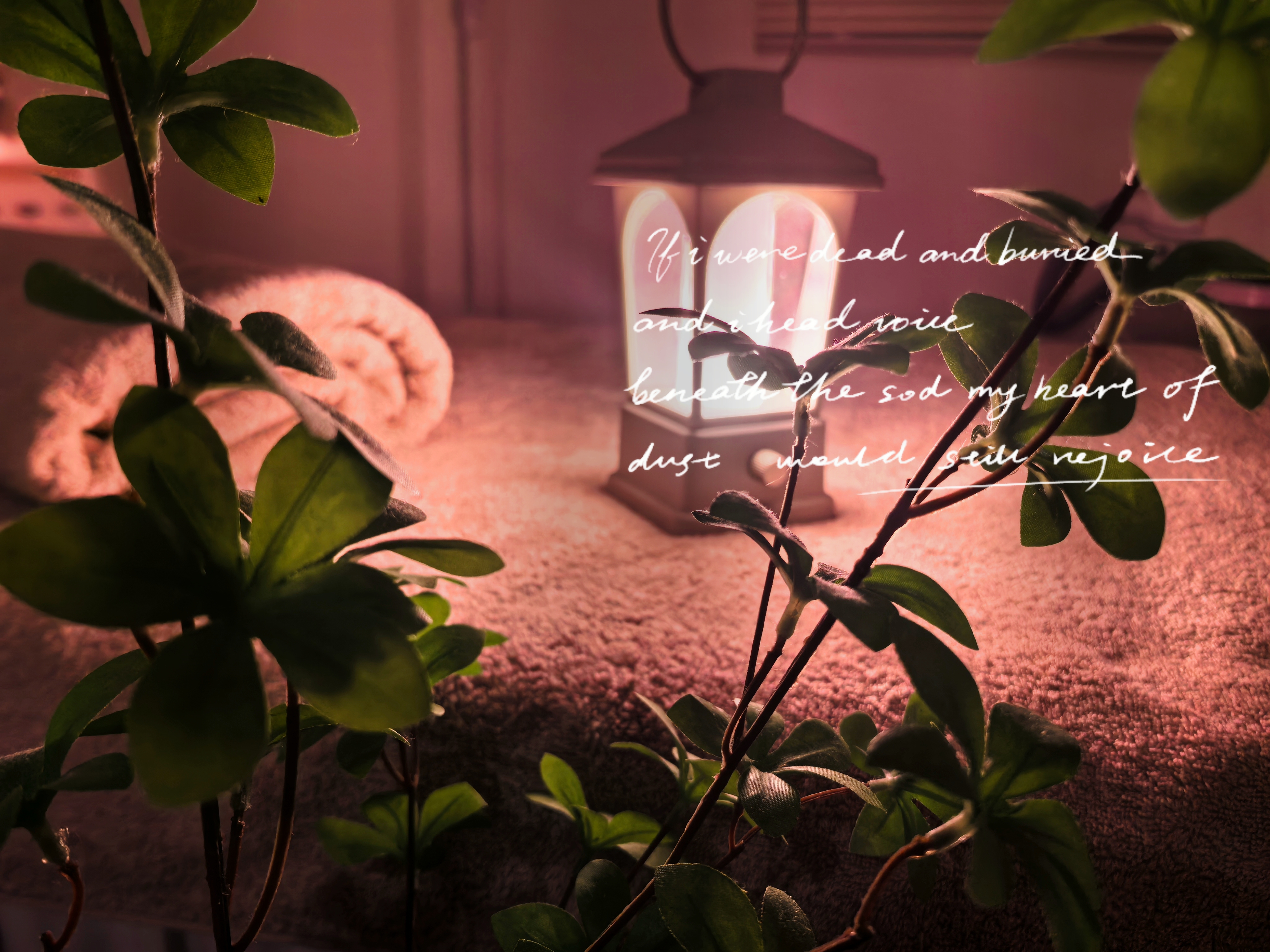 SHOUNエステルーム